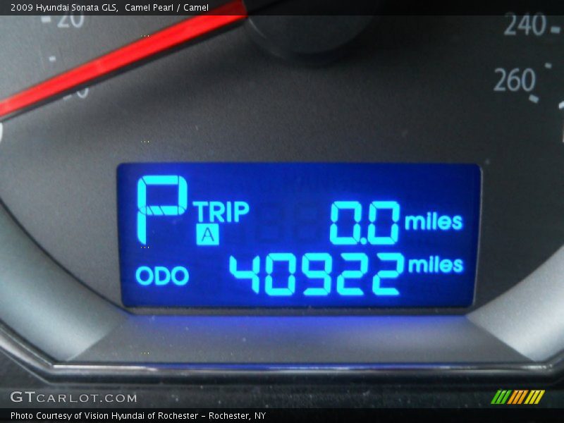 Camel Pearl / Camel 2009 Hyundai Sonata GLS