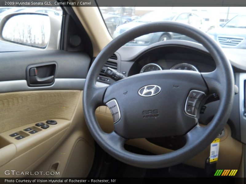 Camel Pearl / Camel 2009 Hyundai Sonata GLS