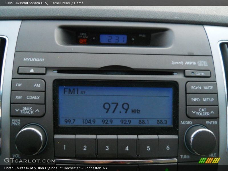 Camel Pearl / Camel 2009 Hyundai Sonata GLS