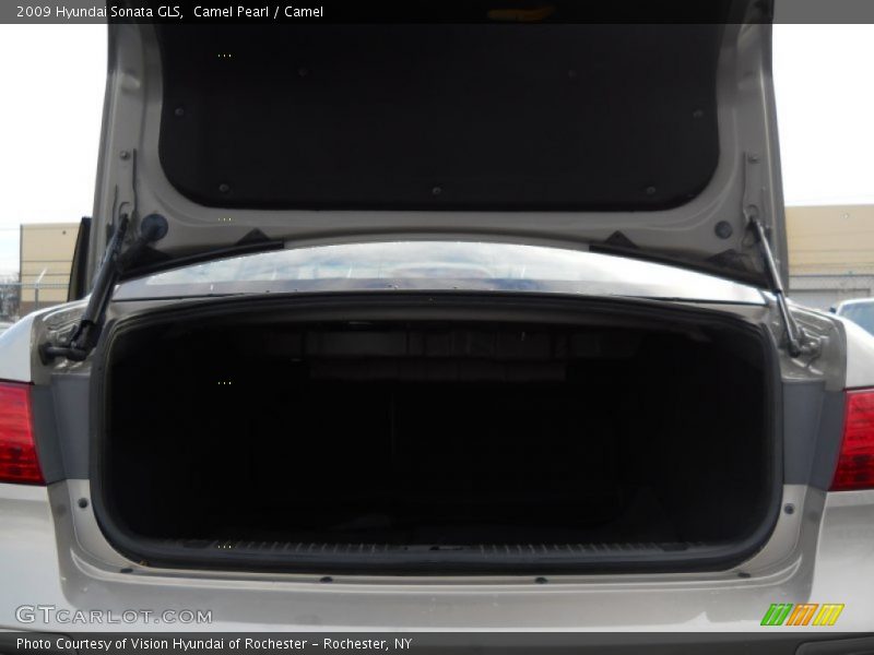 Camel Pearl / Camel 2009 Hyundai Sonata GLS