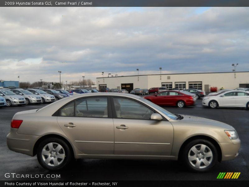 Camel Pearl / Camel 2009 Hyundai Sonata GLS