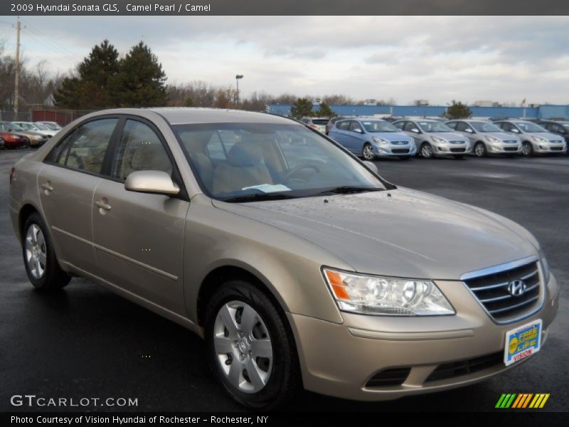 Camel Pearl / Camel 2009 Hyundai Sonata GLS