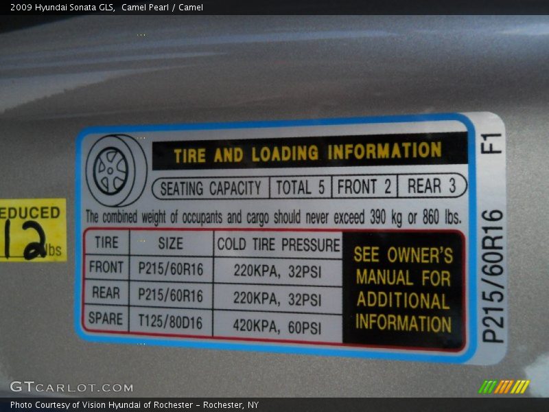 Camel Pearl / Camel 2009 Hyundai Sonata GLS