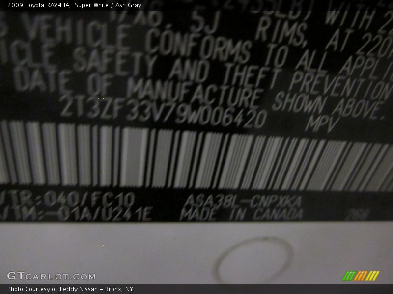 Super White / Ash Gray 2009 Toyota RAV4 I4