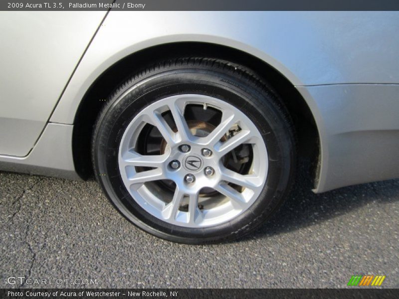 Palladium Metallic / Ebony 2009 Acura TL 3.5