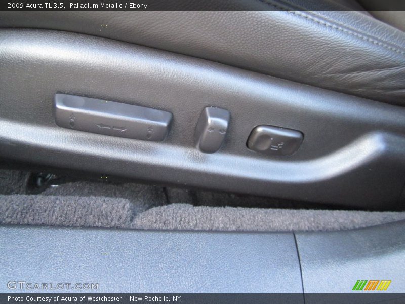 Palladium Metallic / Ebony 2009 Acura TL 3.5