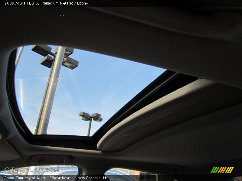 Palladium Metallic / Ebony 2009 Acura TL 3.5