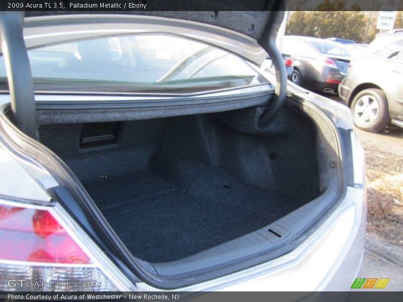 Palladium Metallic / Ebony 2009 Acura TL 3.5