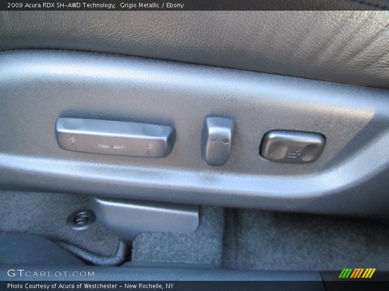 Grigio Metallic / Ebony 2009 Acura RDX SH-AWD Technology