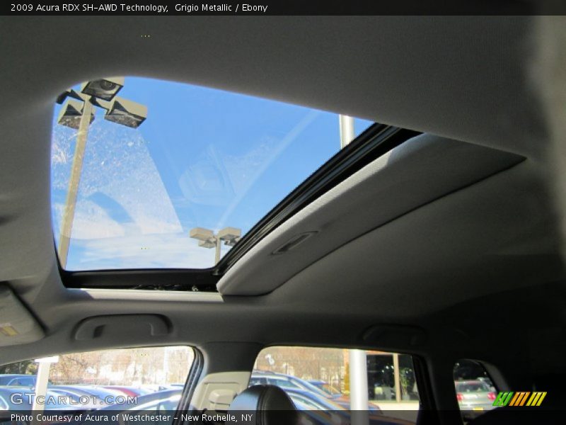 Grigio Metallic / Ebony 2009 Acura RDX SH-AWD Technology