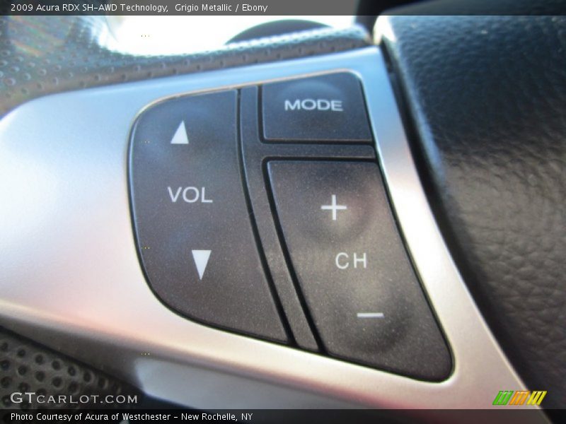 Grigio Metallic / Ebony 2009 Acura RDX SH-AWD Technology