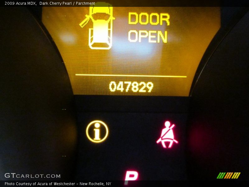 Dark Cherry Pearl / Parchment 2009 Acura MDX