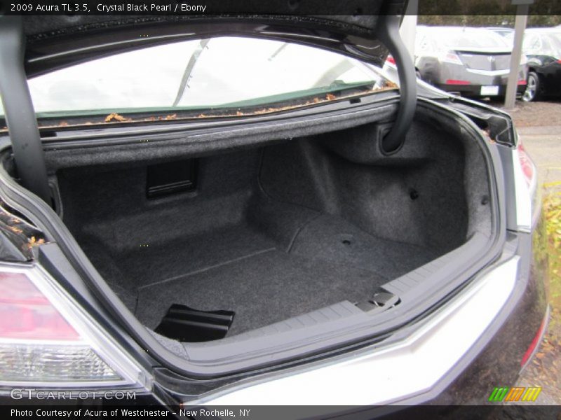 Crystal Black Pearl / Ebony 2009 Acura TL 3.5
