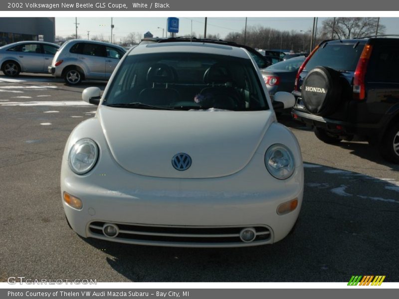 White / Black 2002 Volkswagen New Beetle GLS Coupe