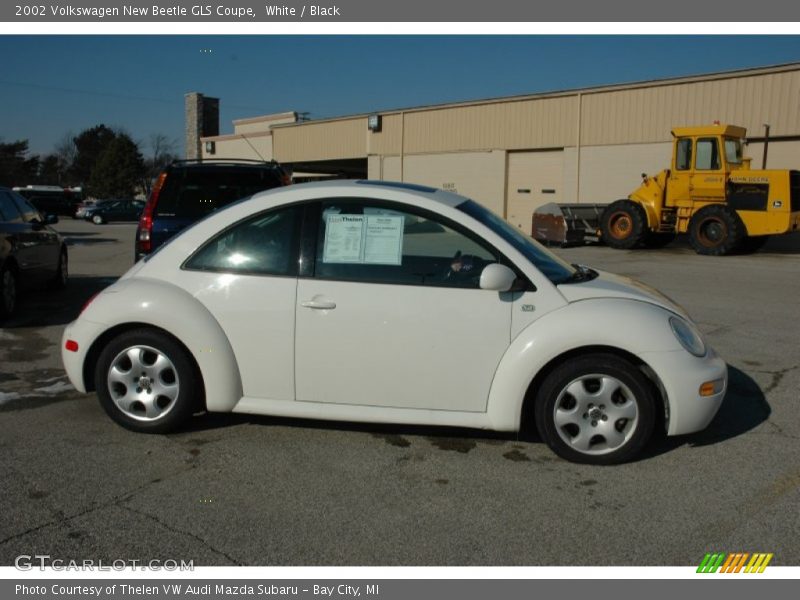 White / Black 2002 Volkswagen New Beetle GLS Coupe