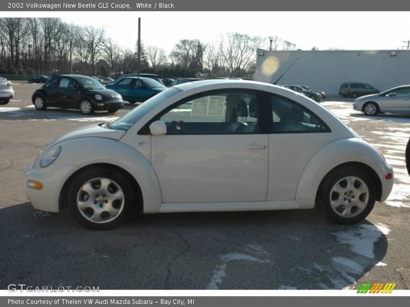 White / Black 2002 Volkswagen New Beetle GLS Coupe