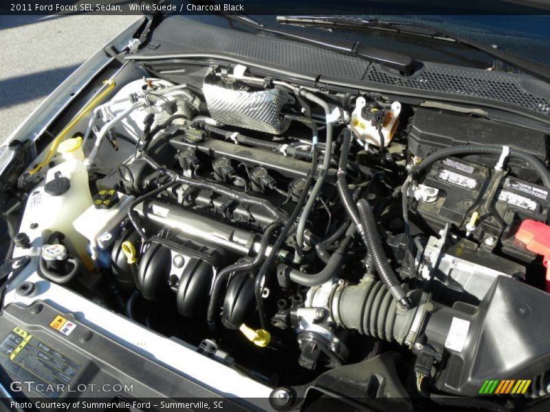 White Suede / Charcoal Black 2011 Ford Focus SEL Sedan