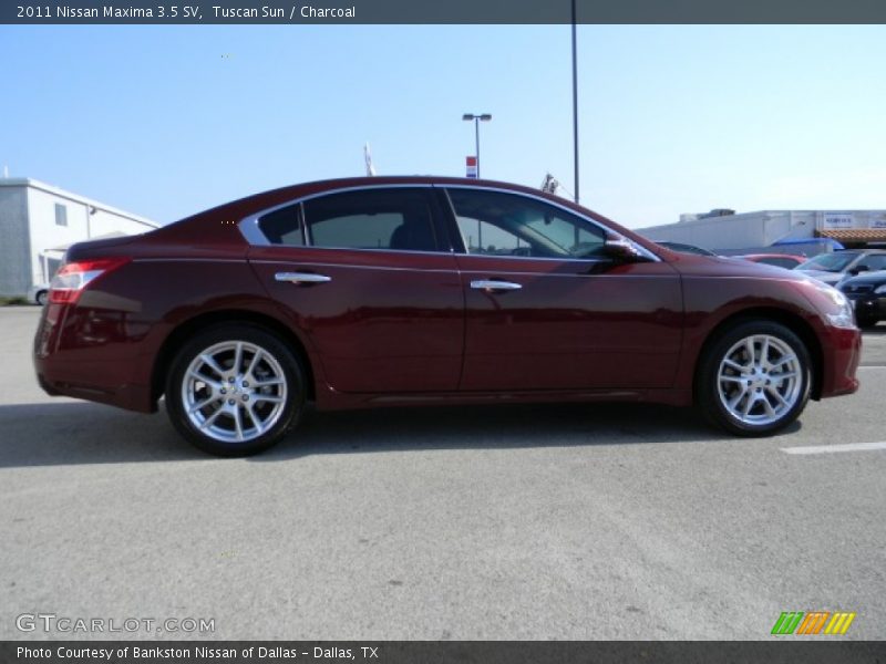 Tuscan Sun / Charcoal 2011 Nissan Maxima 3.5 SV