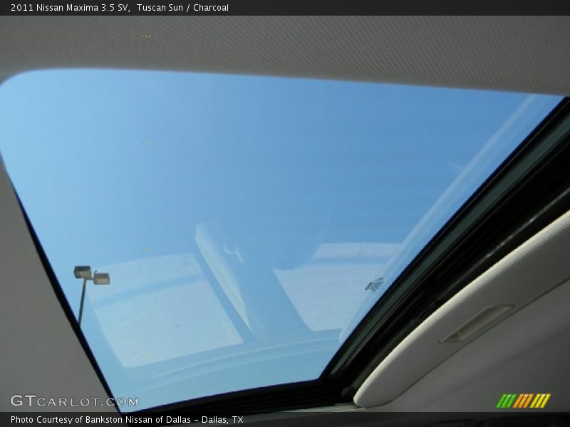 Tuscan Sun / Charcoal 2011 Nissan Maxima 3.5 SV