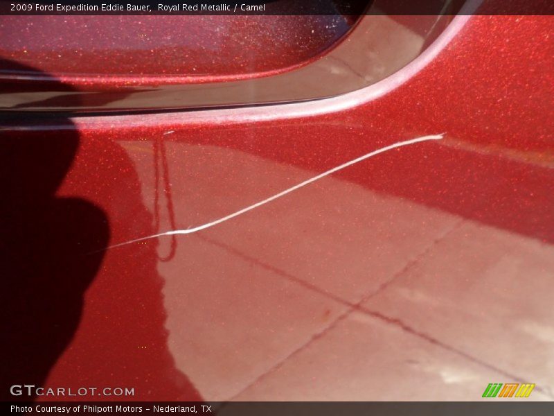 Royal Red Metallic / Camel 2009 Ford Expedition Eddie Bauer