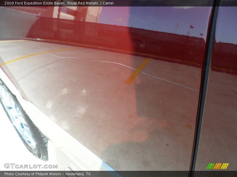 Royal Red Metallic / Camel 2009 Ford Expedition Eddie Bauer