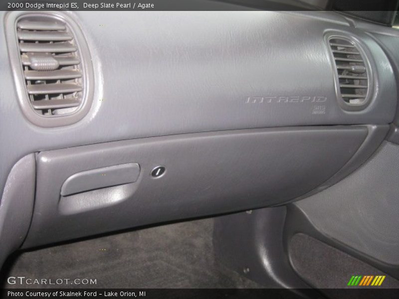 Deep Slate Pearl / Agate 2000 Dodge Intrepid ES