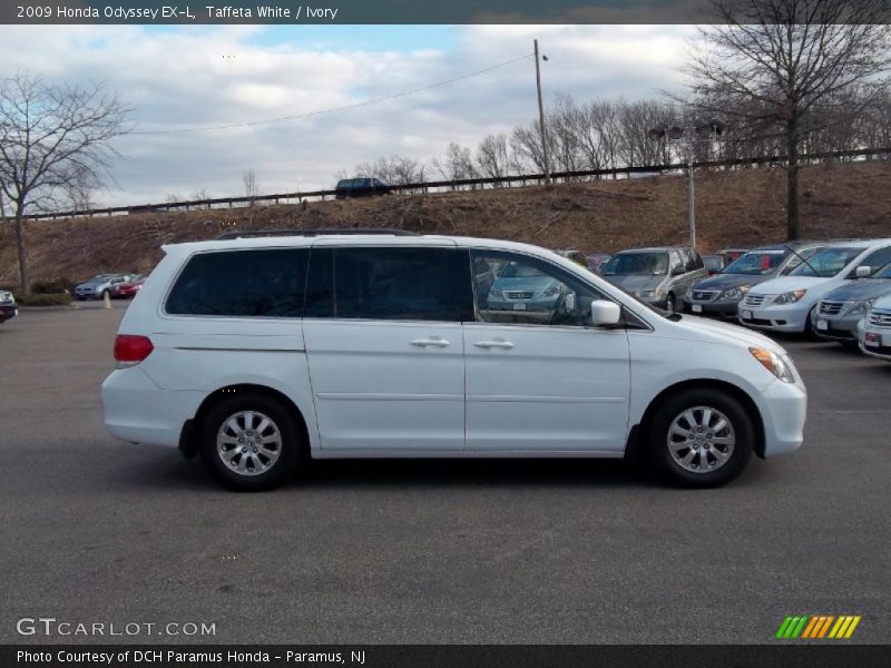 Taffeta White / Ivory 2009 Honda Odyssey EX-L