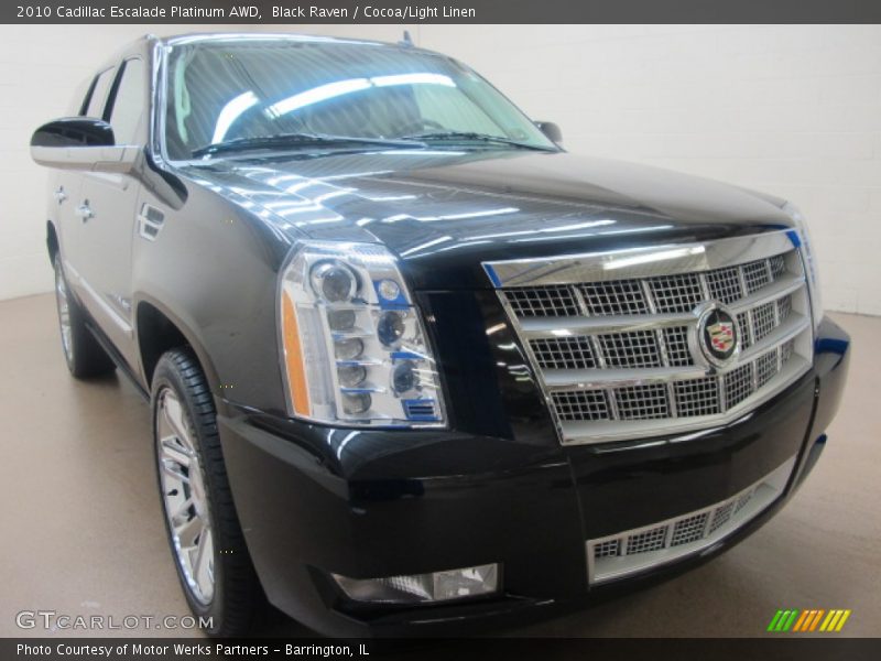 Black Raven / Cocoa/Light Linen 2010 Cadillac Escalade Platinum AWD