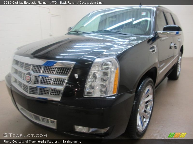 Black Raven / Cocoa/Light Linen 2010 Cadillac Escalade Platinum AWD