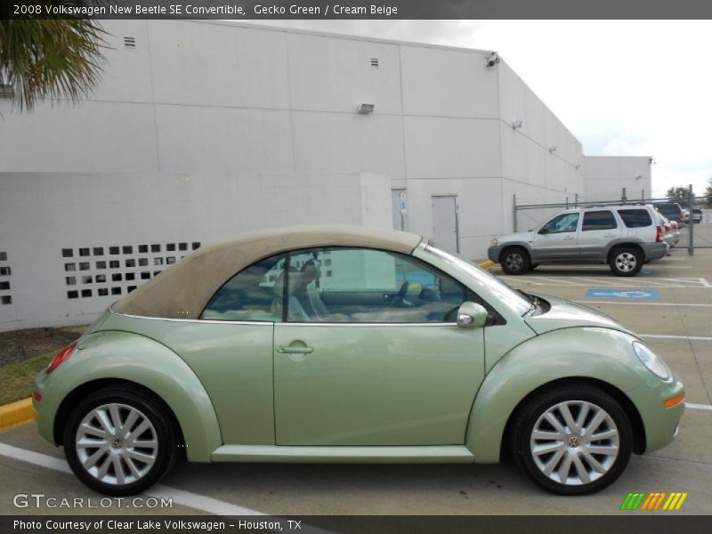 Gecko Green / Cream Beige 2008 Volkswagen New Beetle SE Convertible