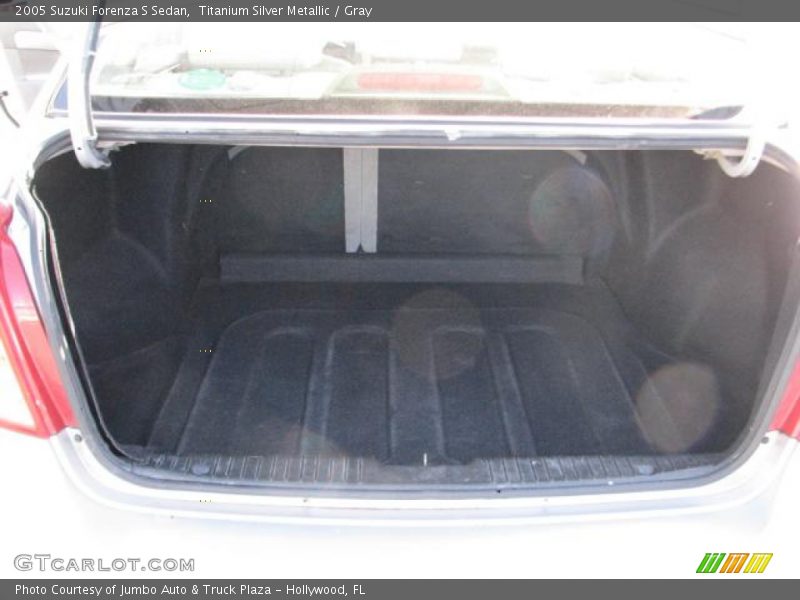 Titanium Silver Metallic / Gray 2005 Suzuki Forenza S Sedan