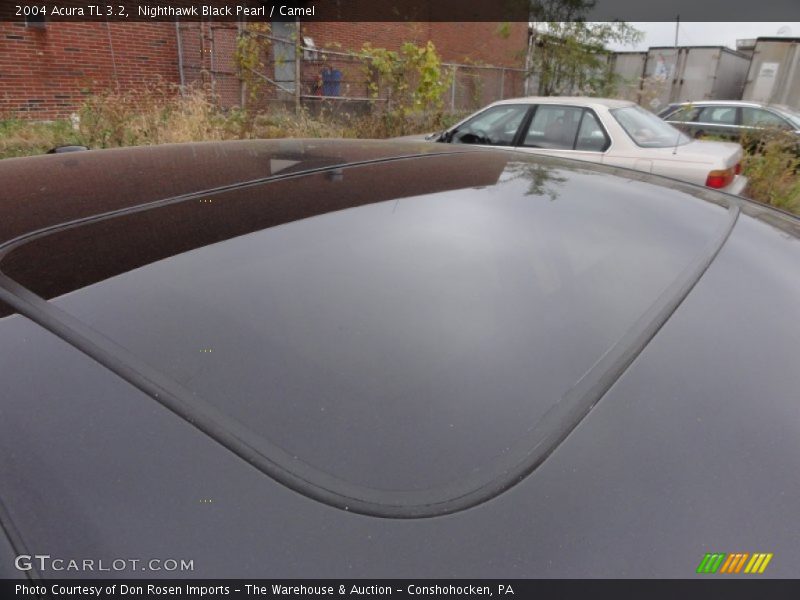 Nighthawk Black Pearl / Camel 2004 Acura TL 3.2