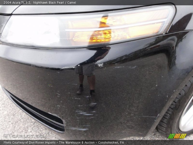 Nighthawk Black Pearl / Camel 2004 Acura TL 3.2