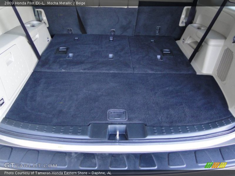 Mocha Metallic / Beige 2009 Honda Pilot EX-L