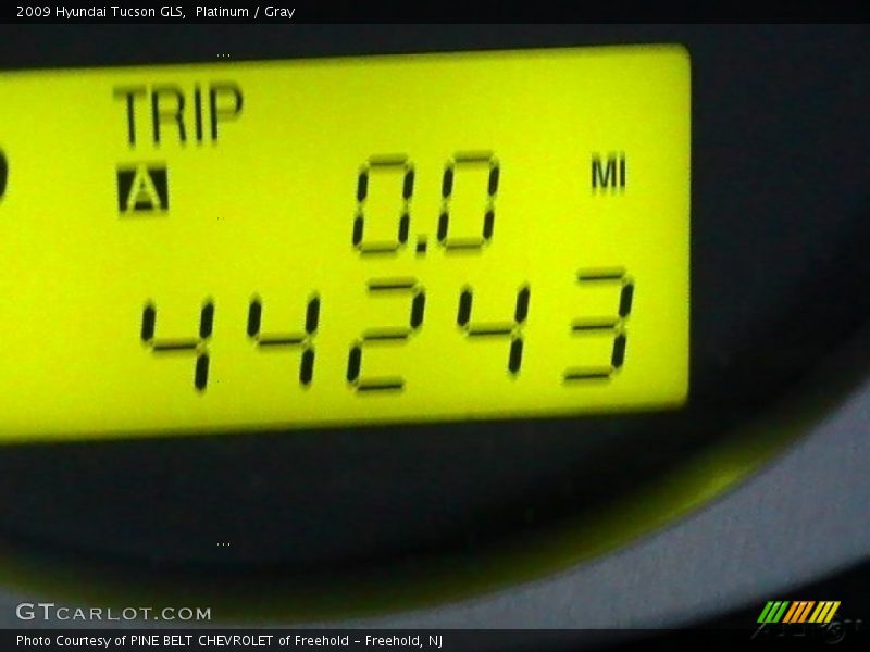 Platinum / Gray 2009 Hyundai Tucson GLS
