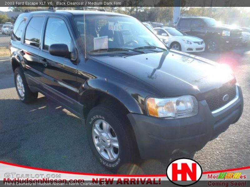Black Clearcoat / Medium Dark Flint 2003 Ford Escape XLT V6
