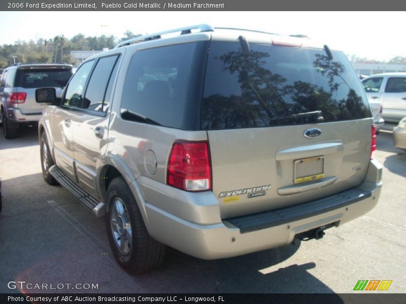 Pueblo Gold Metallic / Medium Parchment 2006 Ford Expedition Limited