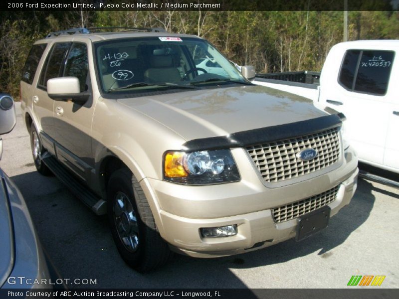 Pueblo Gold Metallic / Medium Parchment 2006 Ford Expedition Limited