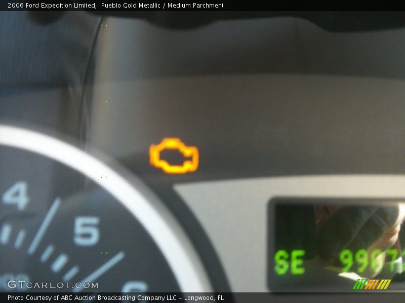 Pueblo Gold Metallic / Medium Parchment 2006 Ford Expedition Limited