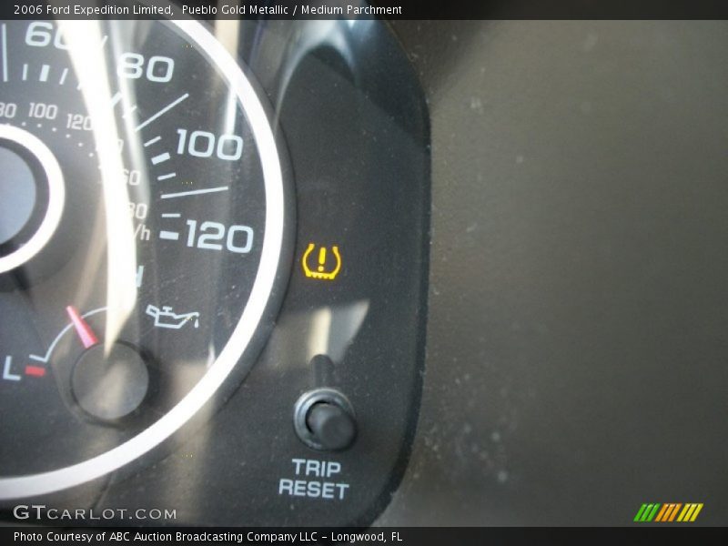 Pueblo Gold Metallic / Medium Parchment 2006 Ford Expedition Limited