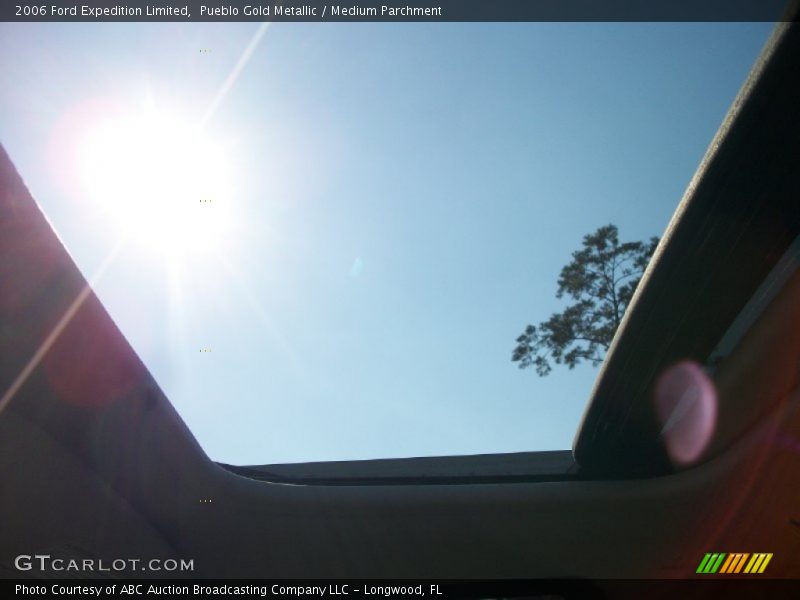 Pueblo Gold Metallic / Medium Parchment 2006 Ford Expedition Limited