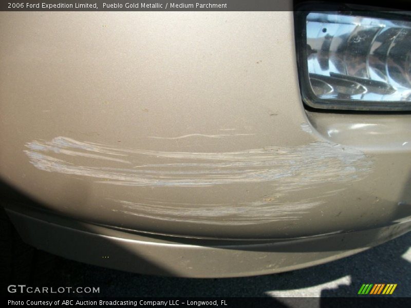 Pueblo Gold Metallic / Medium Parchment 2006 Ford Expedition Limited