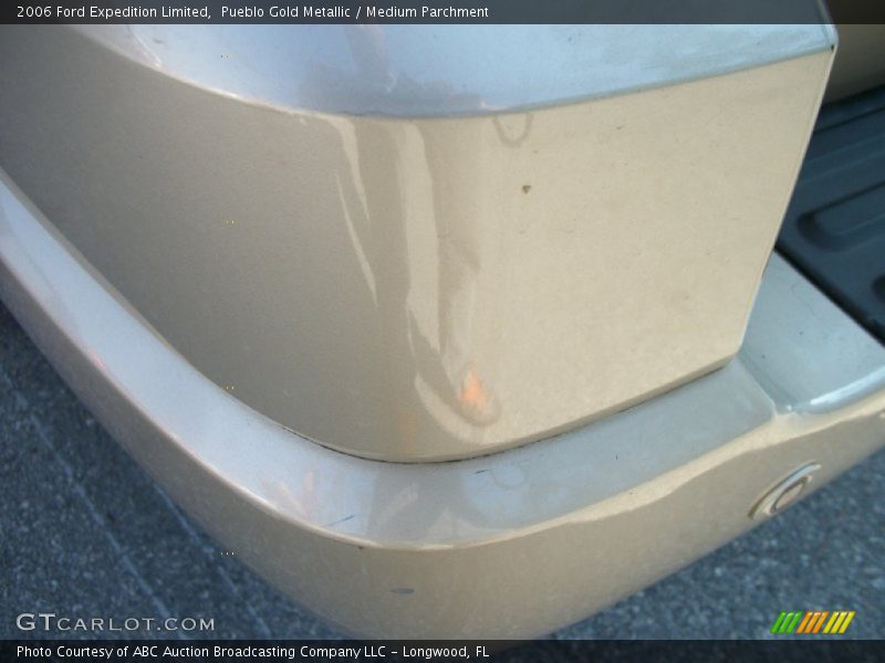 Pueblo Gold Metallic / Medium Parchment 2006 Ford Expedition Limited