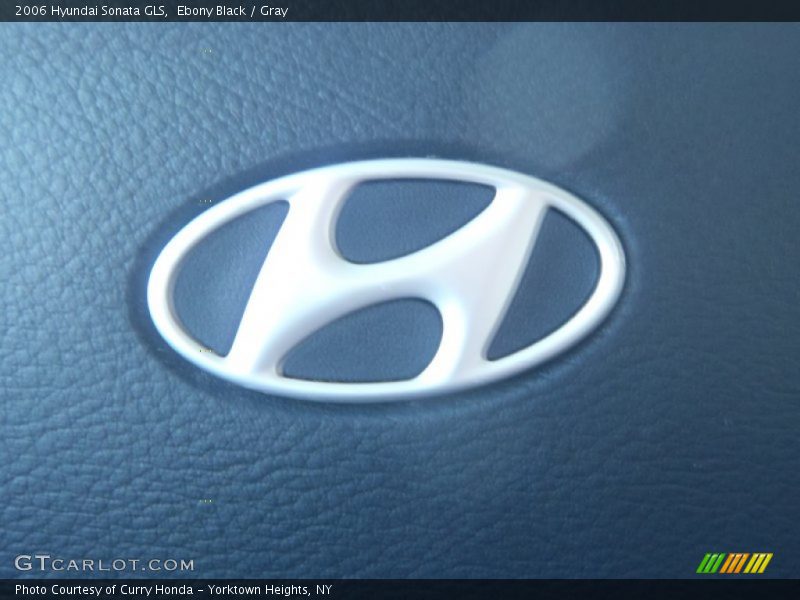 Ebony Black / Gray 2006 Hyundai Sonata GLS