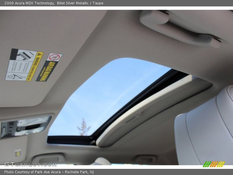 Billet Silver Metallic / Taupe 2009 Acura MDX Technology