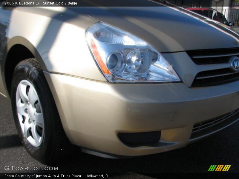 Sunset Gold / Beige 2006 Kia Sedona LX