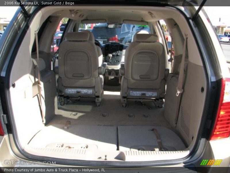 Sunset Gold / Beige 2006 Kia Sedona LX