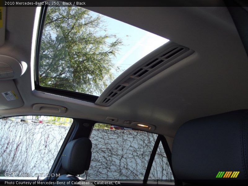 Black / Black 2010 Mercedes-Benz ML 350