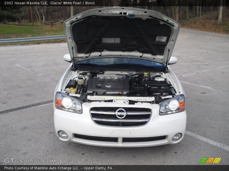 Glacier White Pearl / Blond 2002 Nissan Maxima GLE