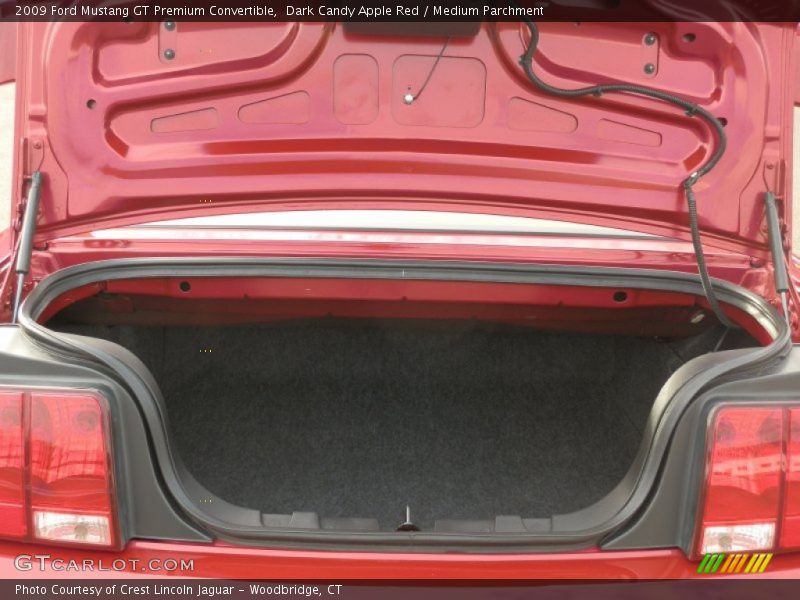 Dark Candy Apple Red / Medium Parchment 2009 Ford Mustang GT Premium Convertible